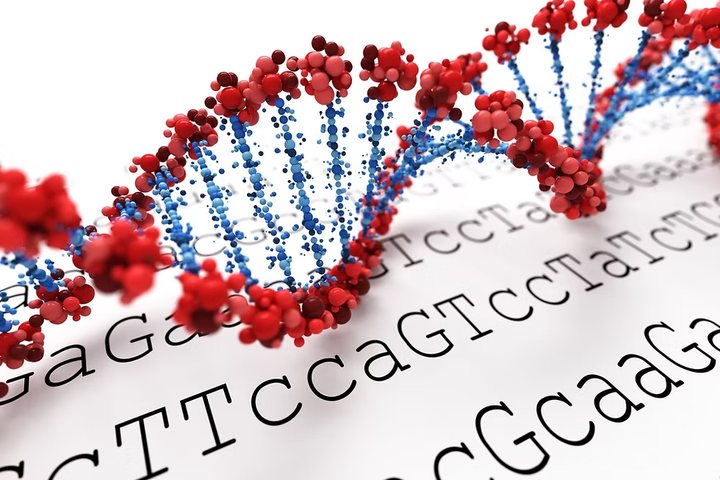 DNA double helix surrounded by cells and sequence reads