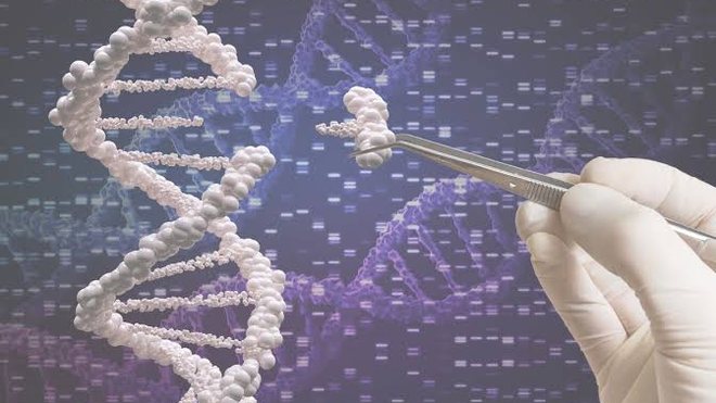 Gloved hand using tweezers on a DNA model