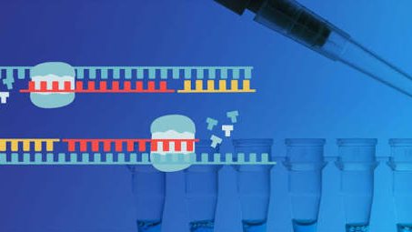 Pipette and PCR tubes beside a DNA replication diagram