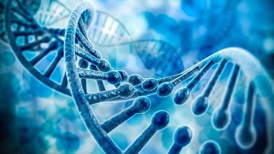 DNA double helix