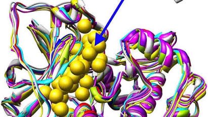 Small molecule bound in a protein binding site