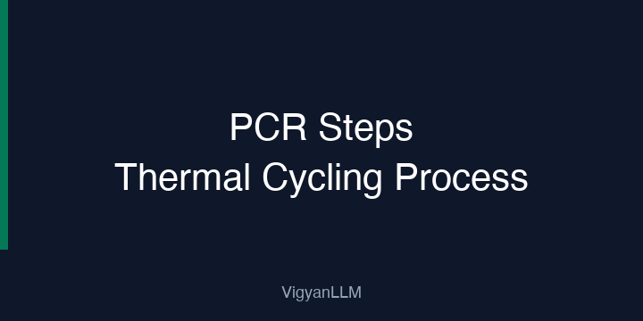 Pcr Steps