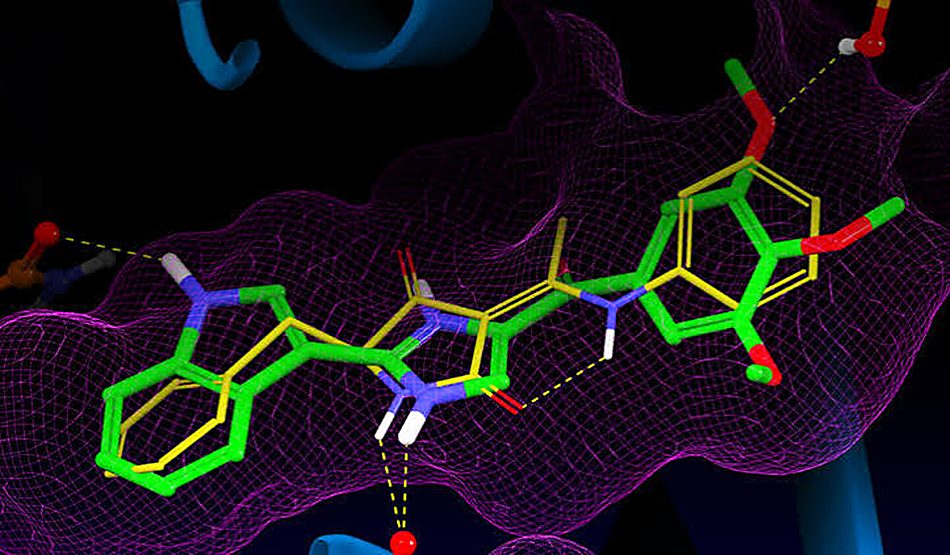 Protein binding pocket with a ligand inside a mesh volume