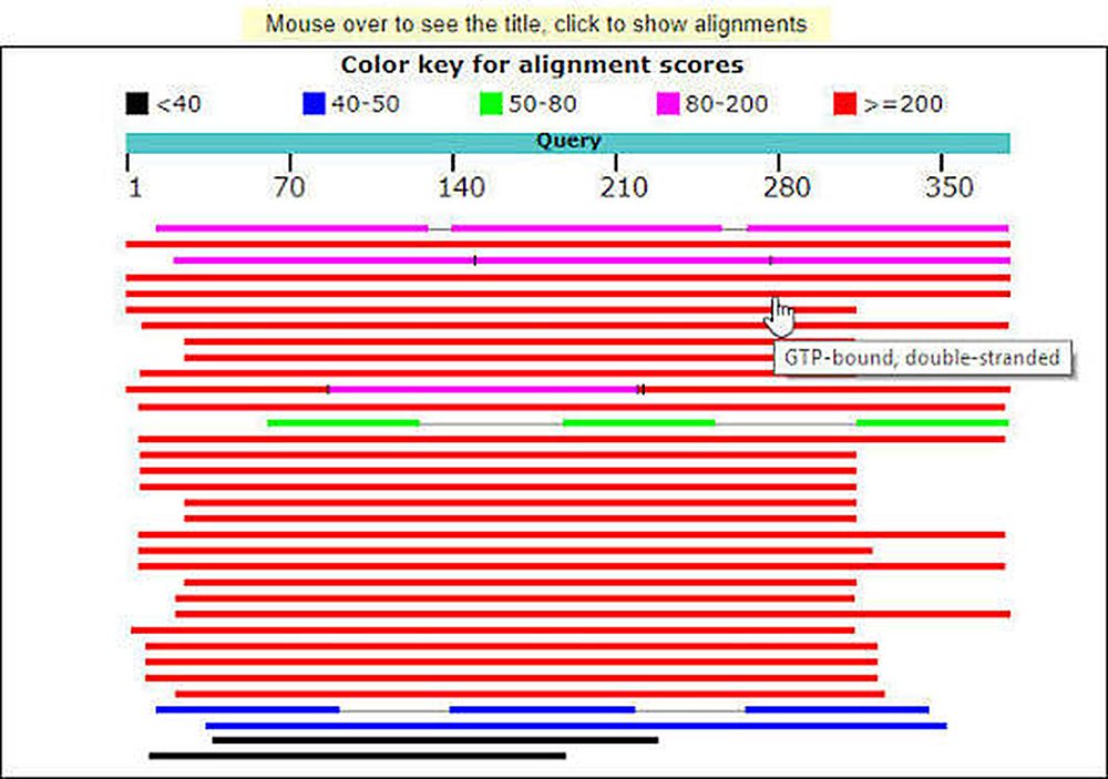BLAST alignment output with a color-coded score key and query hits