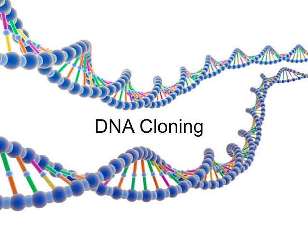 DNA cloning illustration with a double helix