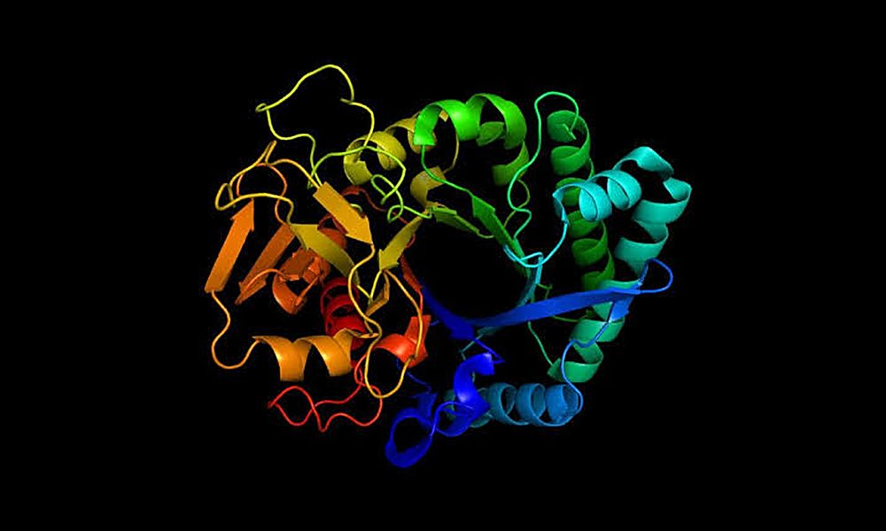 Rainbow ribbon diagram of a protein structure