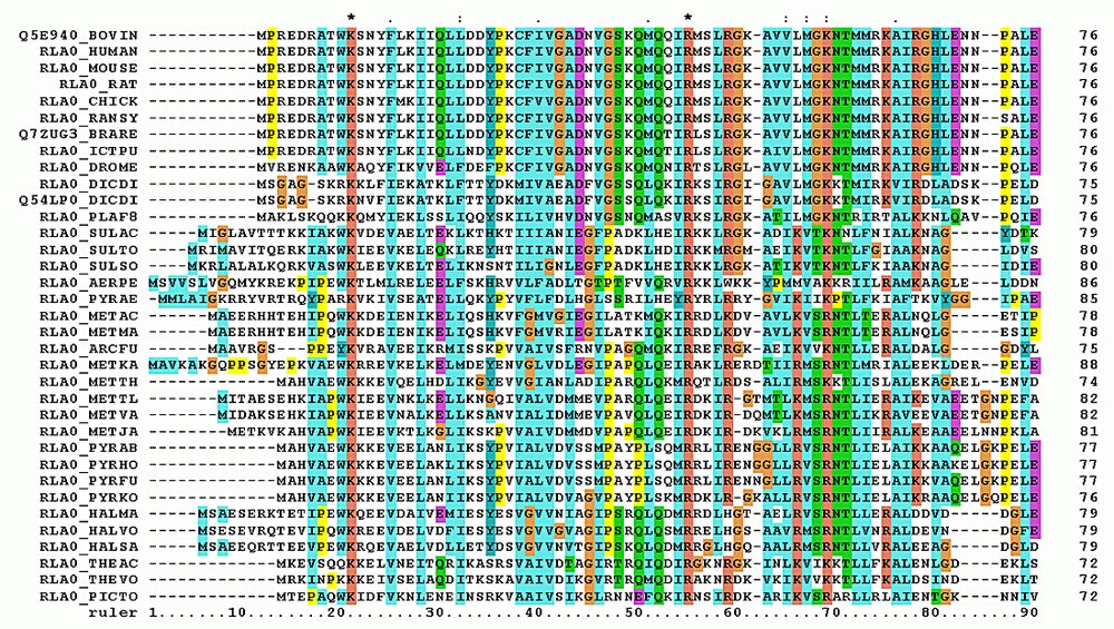 ClustalW alignment of RPLP0 sequences with conservation coloring