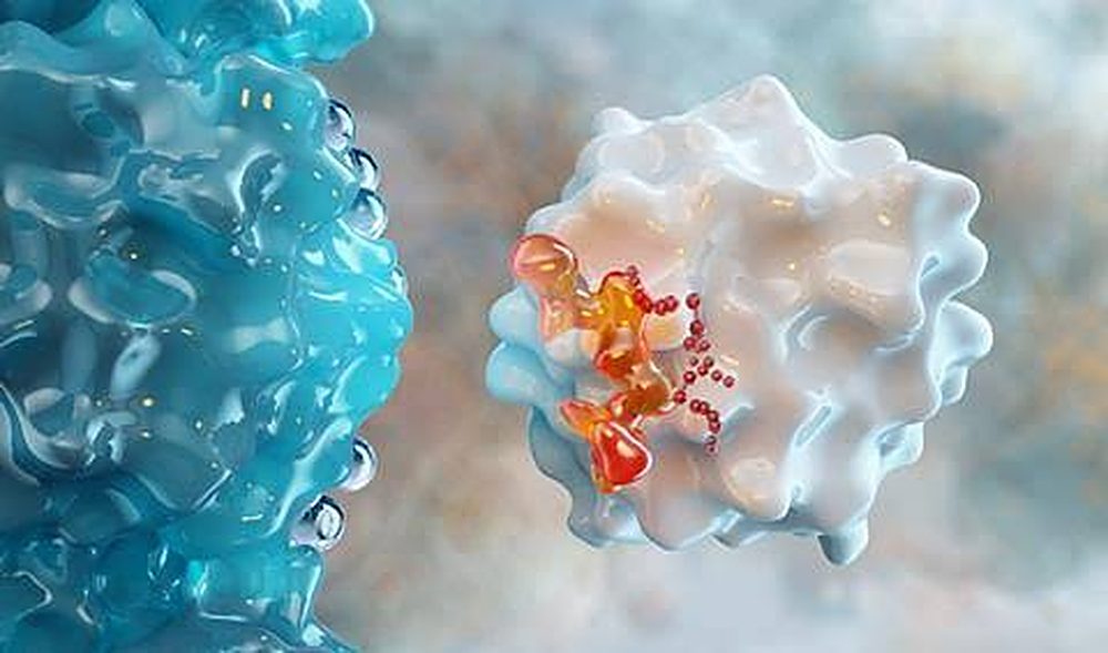 Protein surface with a gold ligand bound in the pocket