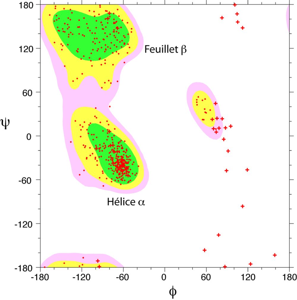 Ramachandran plot of a protein backbone showing allowed and disallowed regions