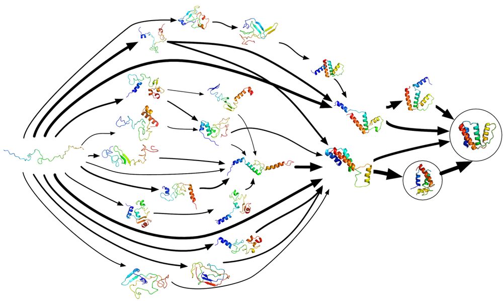 Markov state model of protein folding pathways from the unfolded to the native state