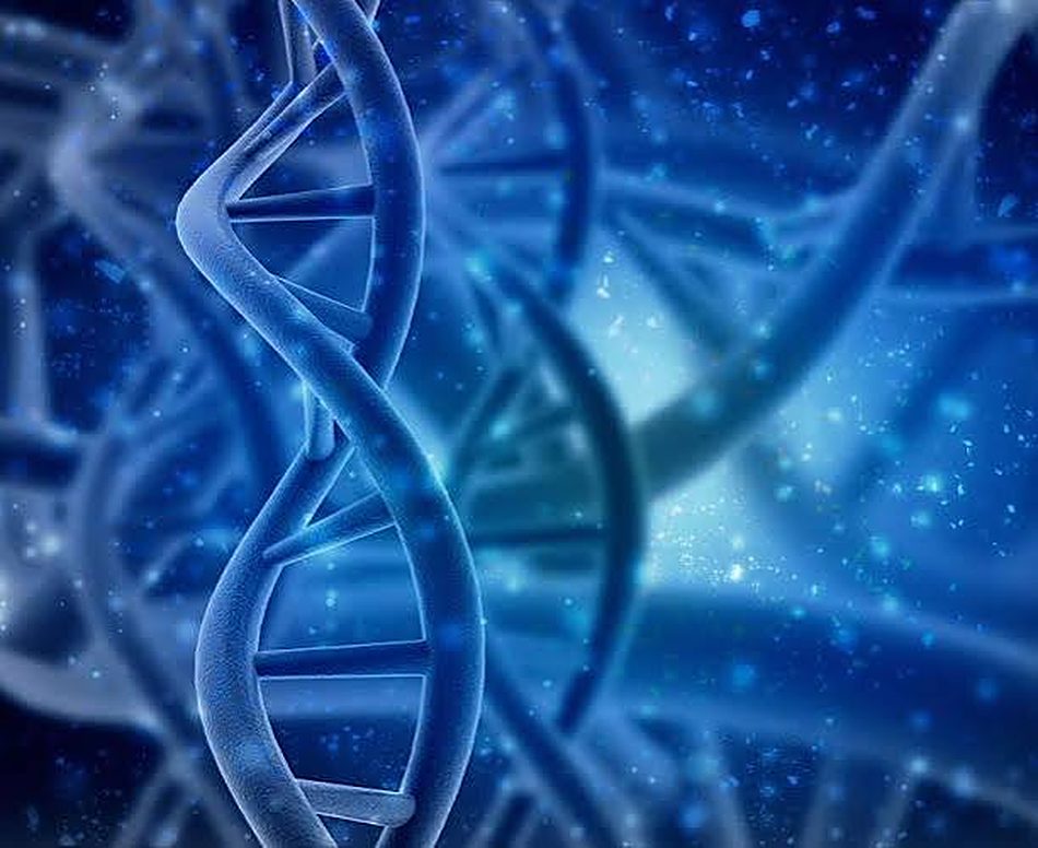 Close-up of a DNA double helix