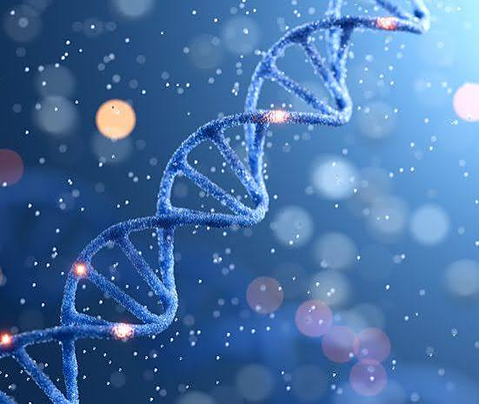 DNA double helix strands